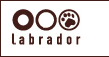Labrador