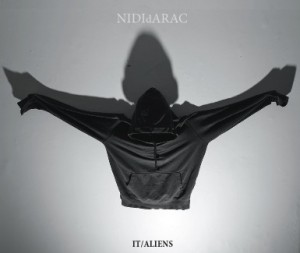 nididaraccopertina