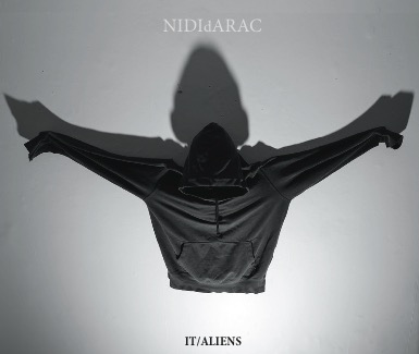 nididaraccopertina