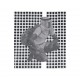 Ulrika_Spacek_-_The_Album_Paranoia_1024x1024