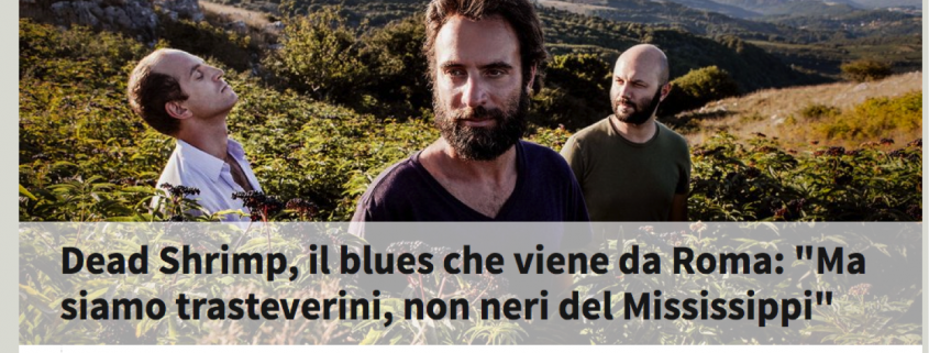 deadshrimplarepubblica