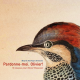 okapi_copertina